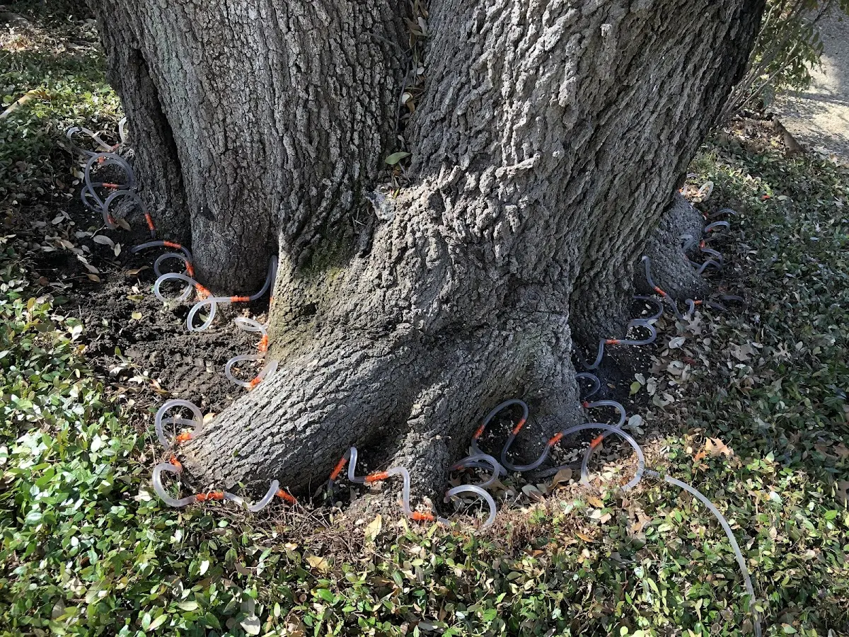 Detailed Shrub and Hedge Trimming job site in Kinsman