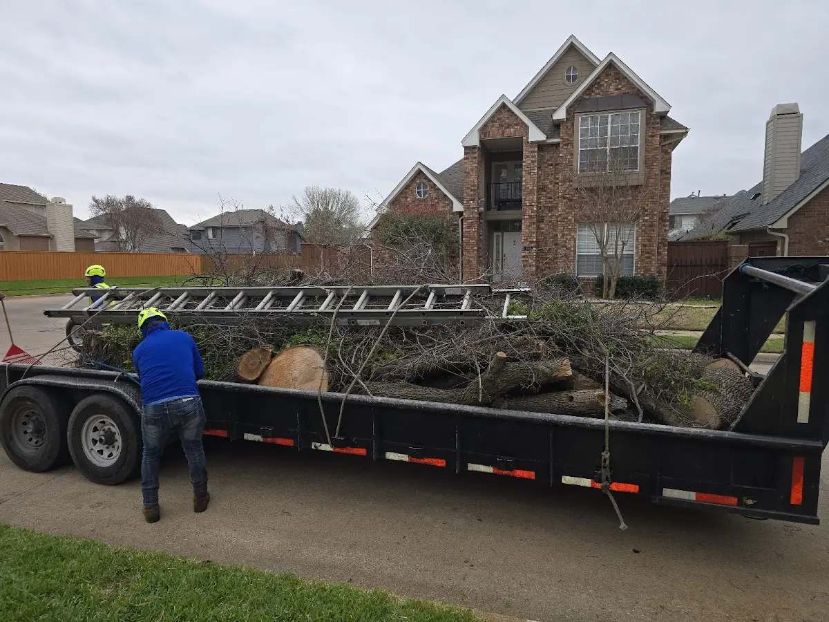 Expert Tree Removal with proper safety equipment in Kinsman